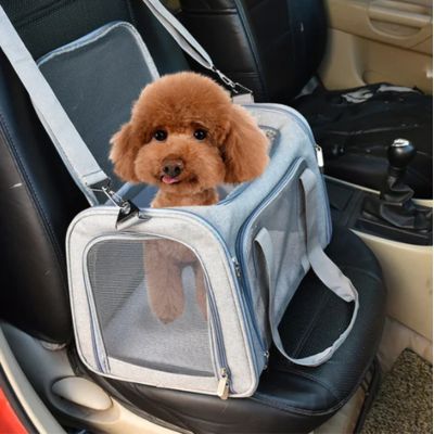 sac-de-transport-chien-gris-lux
