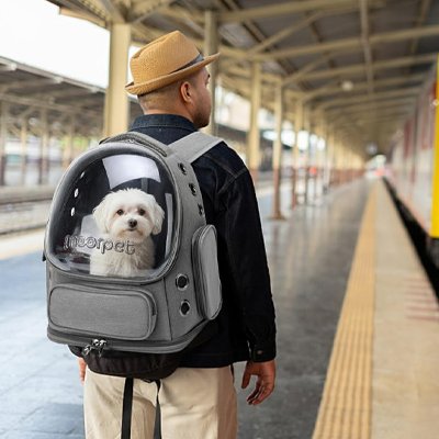 Sac transport Chien BubblePaw gris ville gare 