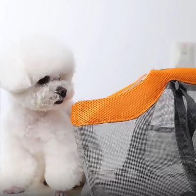 Sac Transport Pour Chien | CasiCosy™
