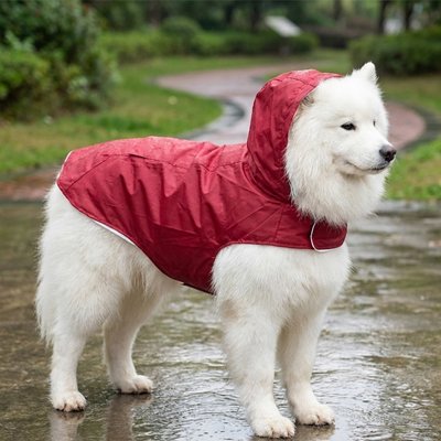 Samoyed avec Impermeable chien​ rouge resistant durable en balade