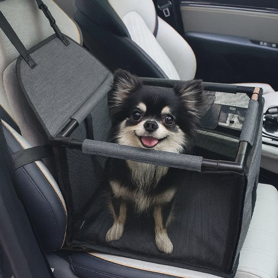 Siege auto chien​ PawDrive gris chiwawa voiture