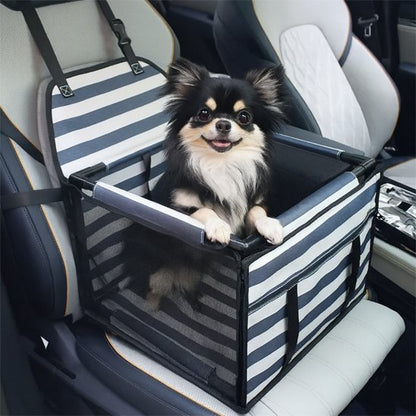 Siege auto chien​ PawDrive rayé chiwawa voiture 