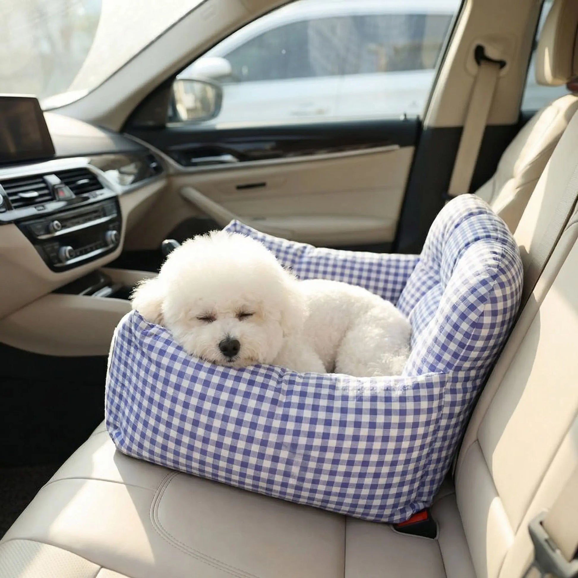 siege auto chiens cuddlepaws bichon relaxe