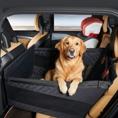 Siege auto pour chien Cozydog confortable golden voiture