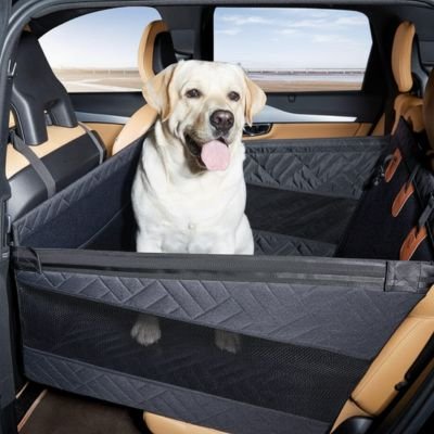 Siege auto pour chien Cozydog labrador en voiture