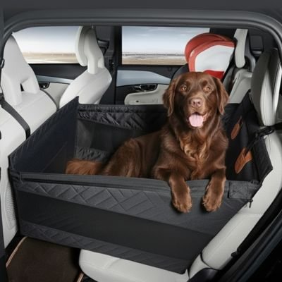 Siege auto pour chien Cozydog labrador heureux voyage