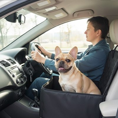 Siege auto pour chien imperméable Pawloft bulldog en voiture