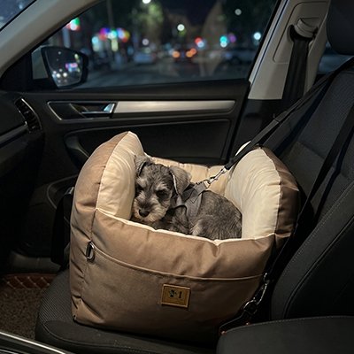 Siege auto pour chien PawHaven marron rembourré