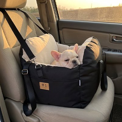 Siege auto pour chien PawHaven noir cocon et doux 