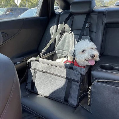 Siege auto pour chien PetitPup bichon en voyage