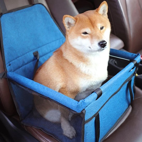 Siege auto pour chien PetitPup bleu chien en voiture