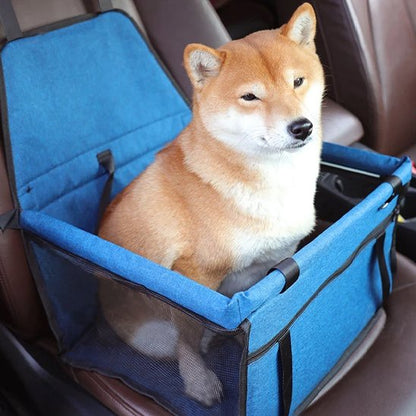 Siege auto pour chien PetitPup bleu chien en voiture