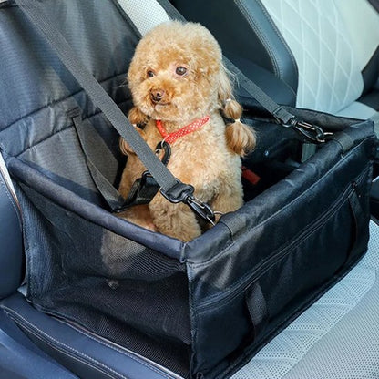 Siege auto pour chien PetitPup noir caniche en voyage