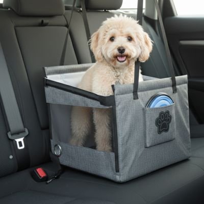 Siege auto pour chien ZenTravel gris confortable avec bichon
