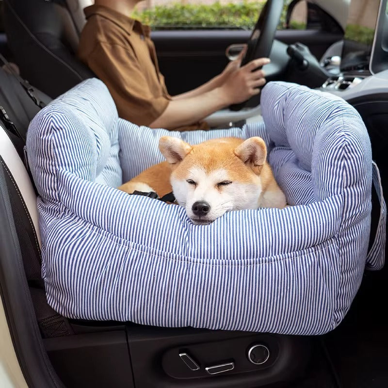 siege auto pour chiens cocoonvoyage voiture