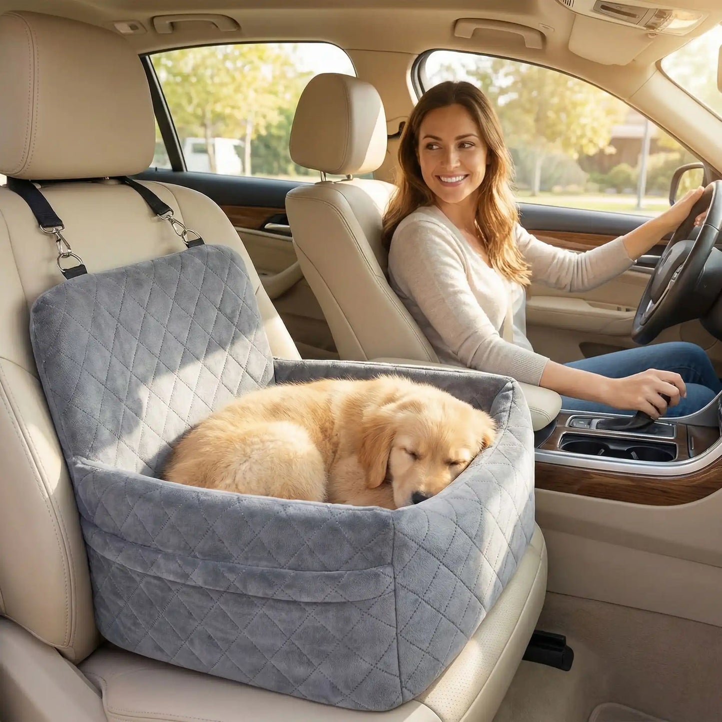 siege auto pour chiens nuviko siège voiture avant chiot labrador