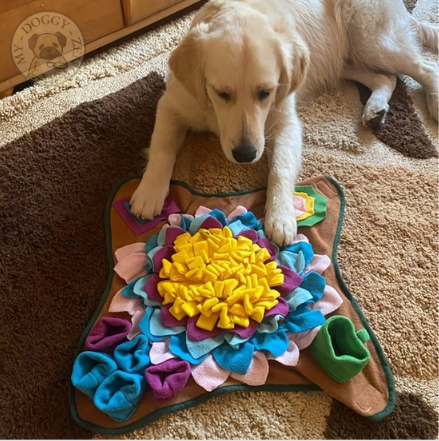 tapis-de-fouille-chien-alimentation-lente