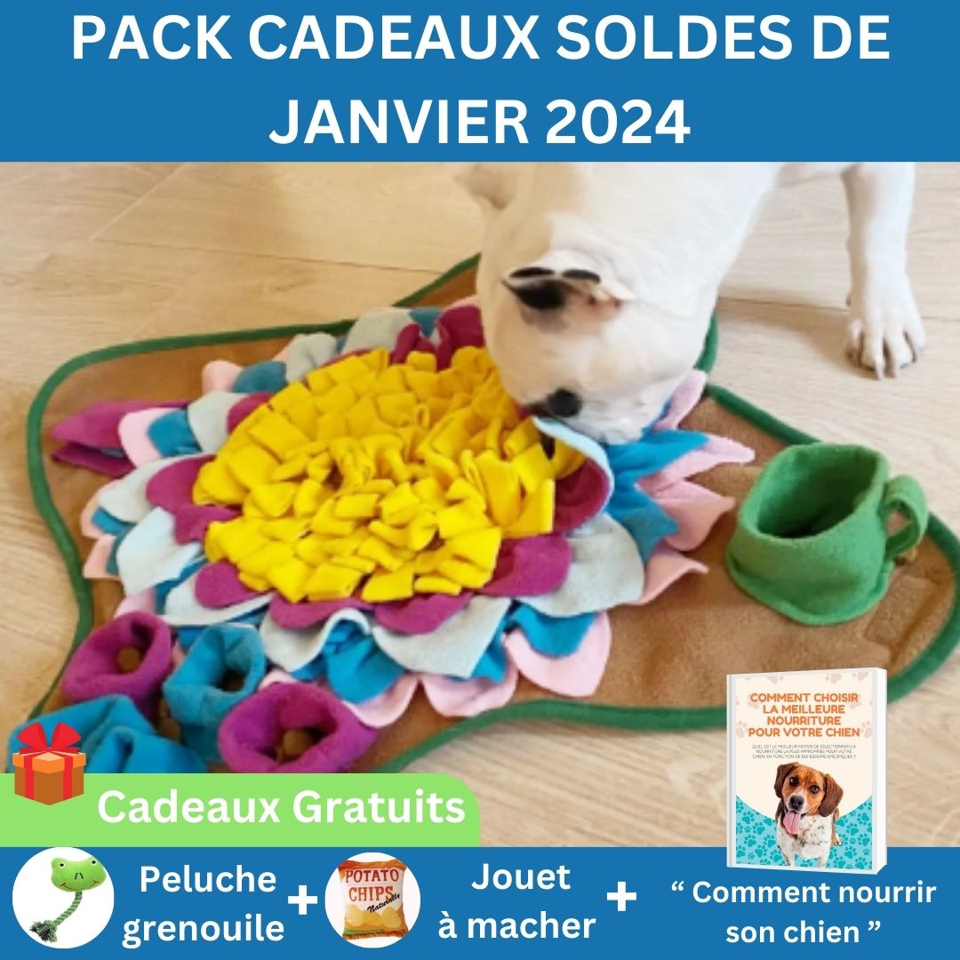 tapis-de-fouille-chien-pack