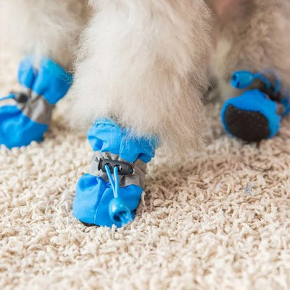 toutou avec Chaussures chien​ bleu réfléchissantes mignonnes