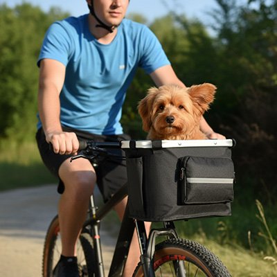 Vélo panier Chien petit chien heureux et confortable avec maître heureux