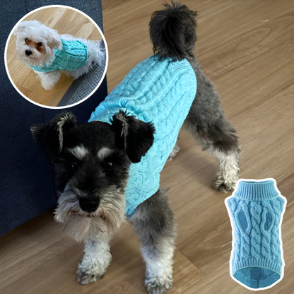 vetement-pour-chien-bleu