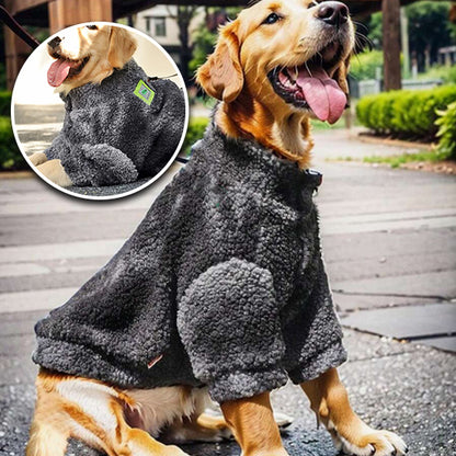 vetement-pour-chien-design-gris