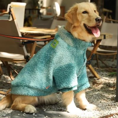 vetement-pour-chien-designe-vert