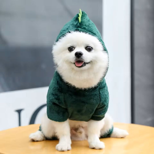 vetement-pour-chien-dinosaure-vert-chaud-deguisement-dinozoruss