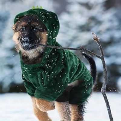 vetement-pour-chien-hiver