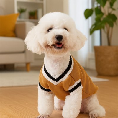 vetement pour Chien jaune style anglais caniche 