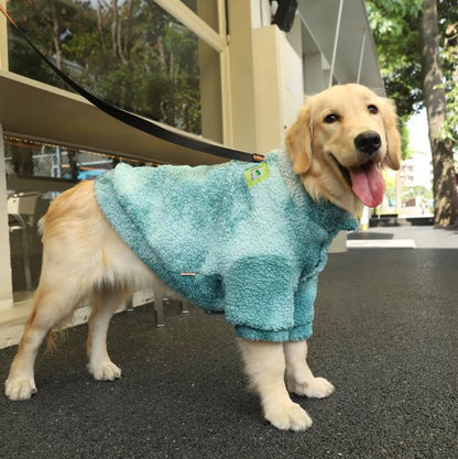 vetement-pour-chien-laine