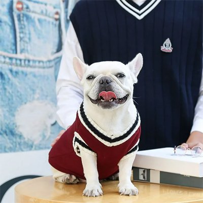 vetement pour Chien rouge style anglais bulldog blanc