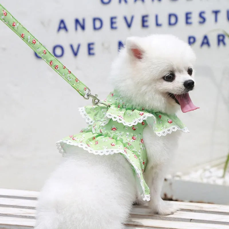 vetement-pour-chien-vert-robe