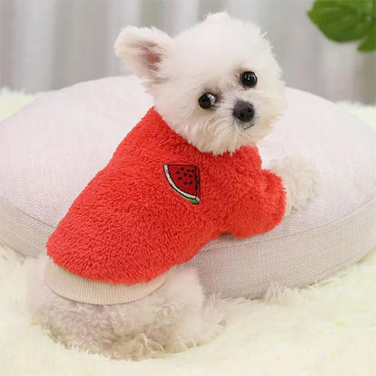etements-pour-chien-elegant-style-mode-rouge-bichon-petcocoon