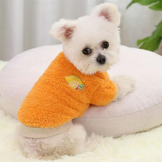 vetements-pour-chien-jaune-isolant-thermique-jaune-bichon-petcocoon