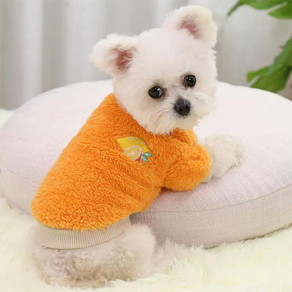 vetements-pour-chien-jaune-isolant-thermique-jaune-bichon-petcocoon